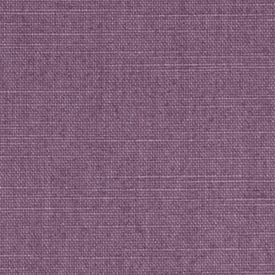 Lima Transparent Violet