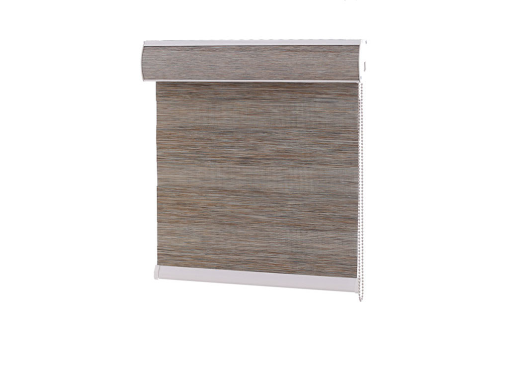 Zebra Plain